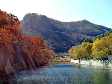 澳门期期准免费精准，汪鸿雁背景